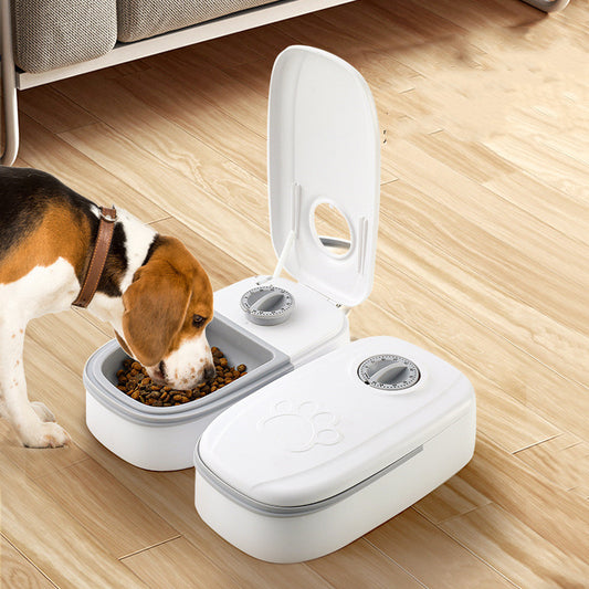 Automatic Timer Pet Feeder